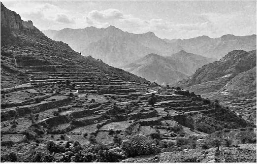 Cultivation areas