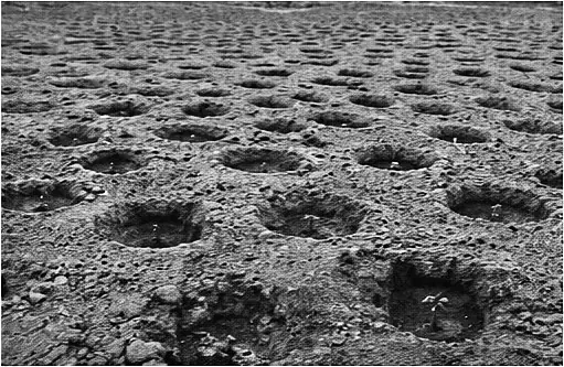 Land preparation